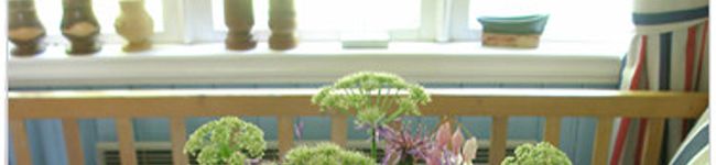 keyuki's header image
