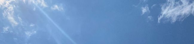 ☆mimoza☆'s header image