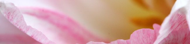 結1218's header image