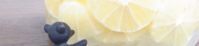 kijikke's header image