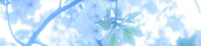 くみやび's header image