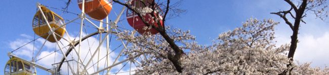 futayu's header image