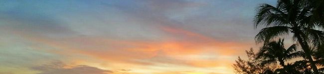 ☆Qoomie☆'s header image
