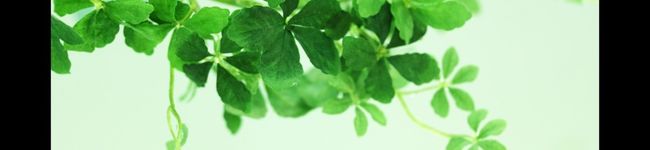 jagu4's header image