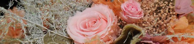 虎太郎mama's header image