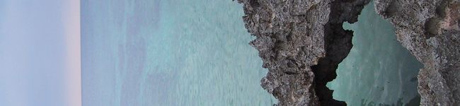 kokyu's header image
