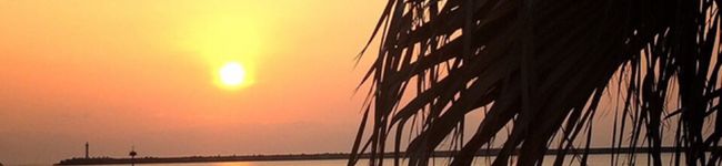 蔡さん's header image