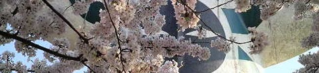 nao's header image