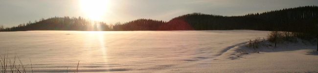 rabby's header image