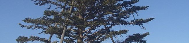 ゆぅか３'s header image