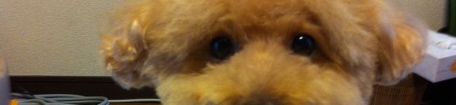 Kimron's header image