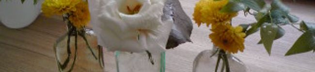 toshimi☆nu's header image