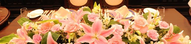熊野桜's header image