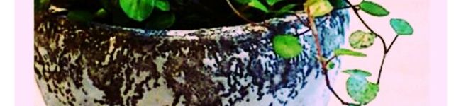 ＊ｅｒｉｂｅａｒ＊'s header image