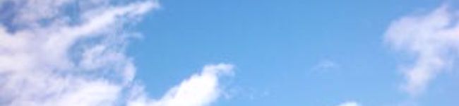 melonty's header image