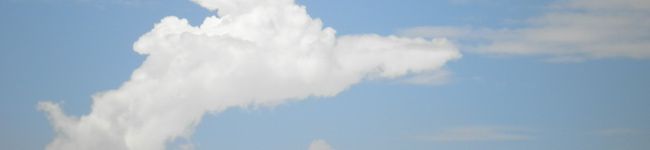 タッカオ's header image