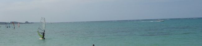 mii1217's header image