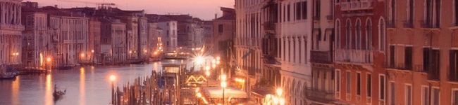YTY7rose's header image