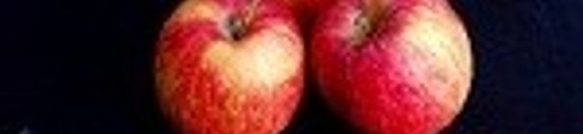 Apple1183's header image