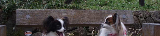 BlancLucy's header image