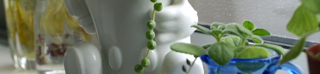 twin-twin's header image