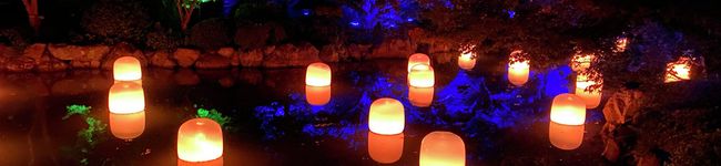 ℤ¡㎃'s header image