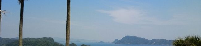 向日葵Boy's header image