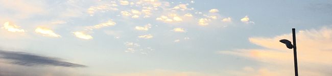 むーごり's header image