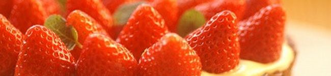 espoir27＊'s header image