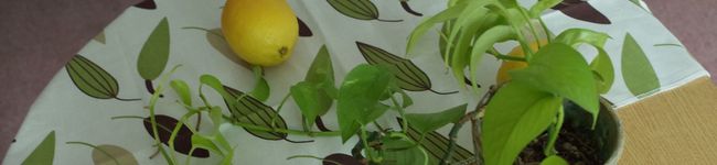babibabi7's header image