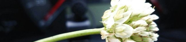 TKM☆'s header image