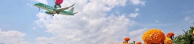 蕎麦の華's header image