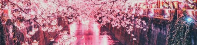 genyamama's header image