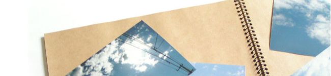 chi-chi's header image