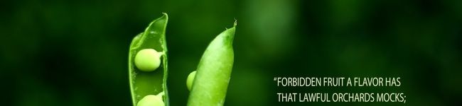 gkk's header image