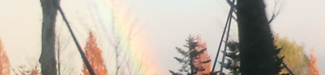 四ツ葉のくろーばー's header image