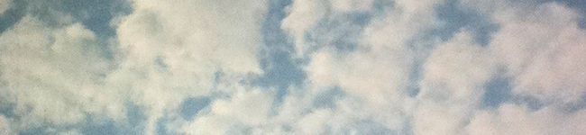 鮭OTL's header image