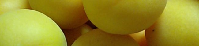 のえる７２３'s header image