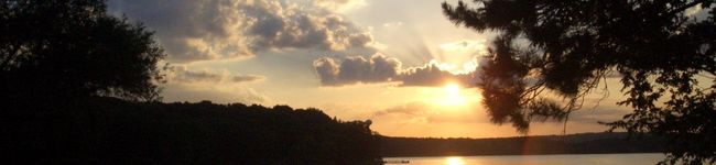 rosyrose30's header image