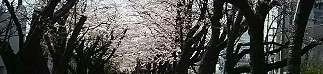 ＊みっこ＊'s header image