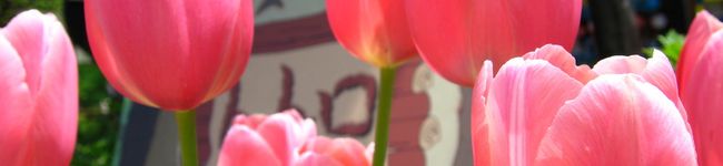 チッく's header image