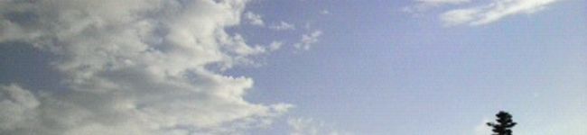 ゆごgogo's header image
