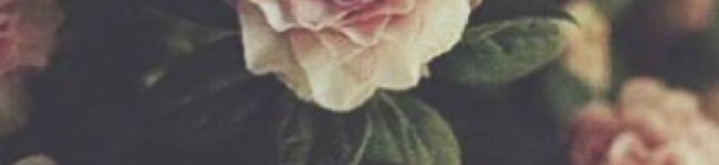 草木花子's header image