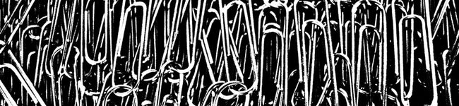 DISC2's header image
