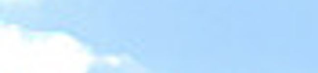 理菜仔's header image