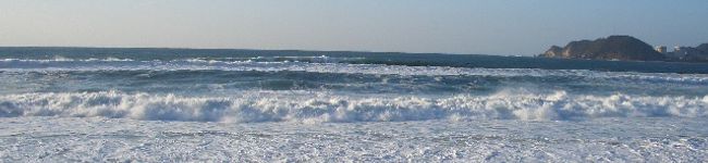 chomie's header image