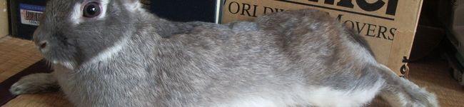 sabrina16's header image