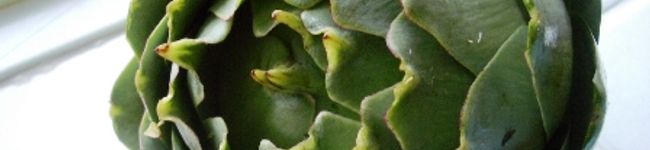 Lorack's header image