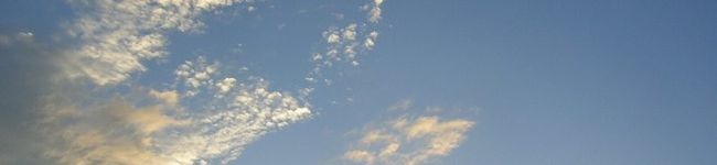 しのびーず's header image