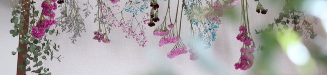 TomorrowKa's header image